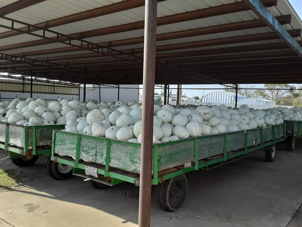 Texas Pumpkin Fest | restaurant | 8760 FM 2243, Leander, TX 78641, USA | 5122228055 OR +1 512-222-8055