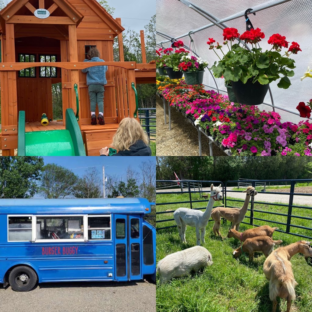 Lazy Breeze Farm and The Burger Buggy | restaurant | 155 Burnham Rd, Waltham, VT 05491, USA | 8027714685 OR +1 802-771-4685