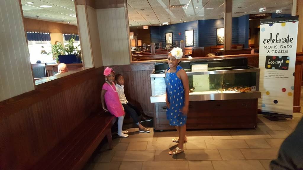 Red Lobster | restaurant | 2544 Prince William Pkwy, Woodbridge, VA 22192, USA | 7034914337 OR +1 703-491-4337