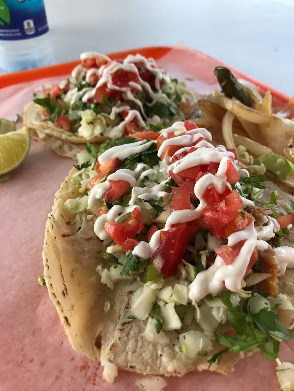 Tacos Gone Mobile | restaurant | 1309 E Fletcher Ave, Tampa, FL 33612, USA | 8134009439 OR +1 813-400-9439