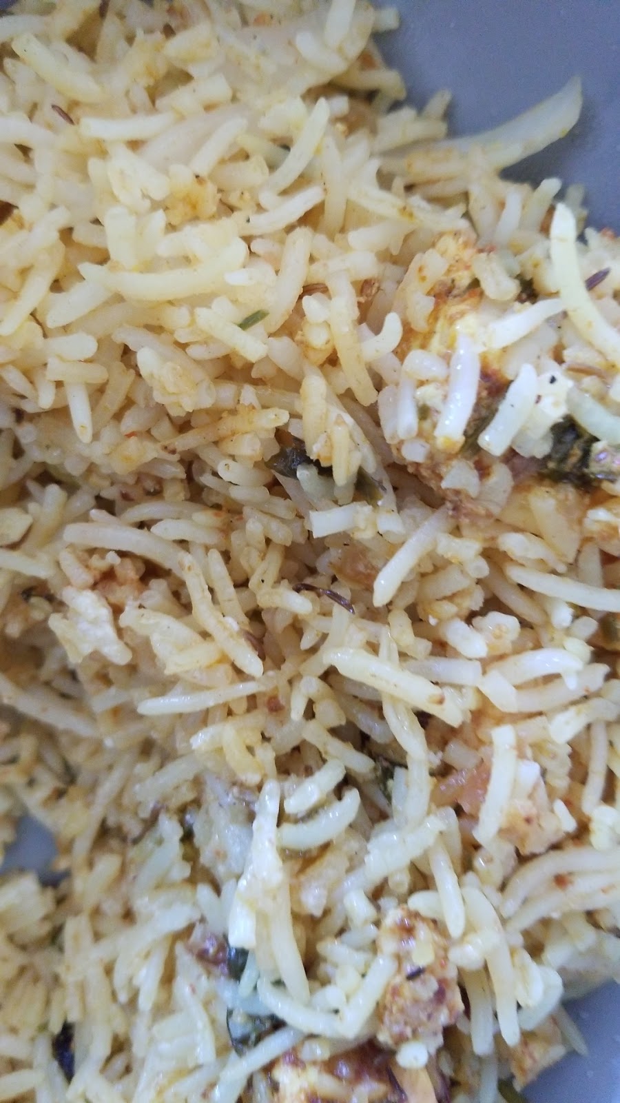 Jyothi Foods | restaurant | 380 S Main St, Milpitas, CA 95035, USA | 6692657230 OR +1 669-265-7230