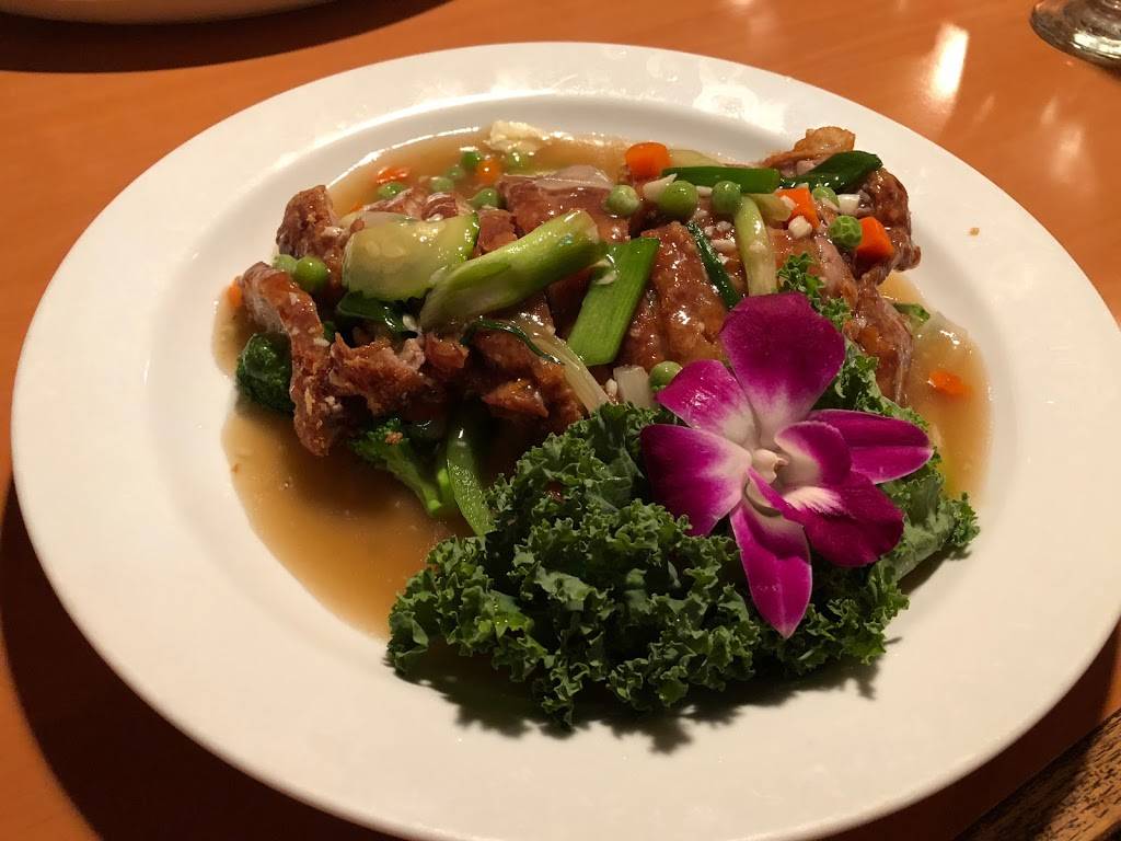 Lanna Thai and Sushi Restaurant | restaurant | 4871 Park St N, St. Petersburg, FL 33709, USA | 7275453057 OR +1 727-545-3057