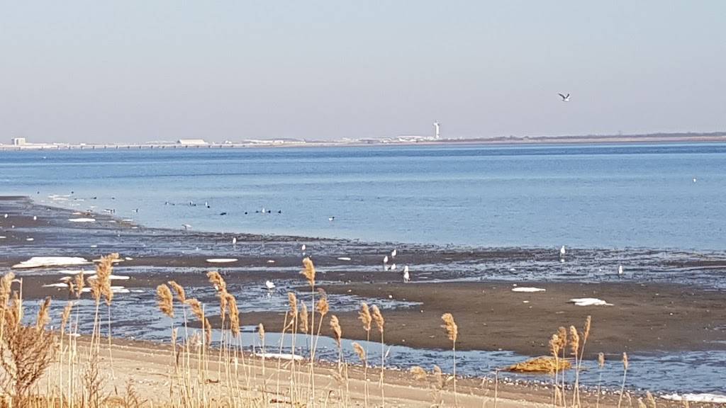 Master Wok | restaurant | 5100 Kings Plaza, Brooklyn, NY 11234, USA | 7182536842 OR +1 718-253-6842