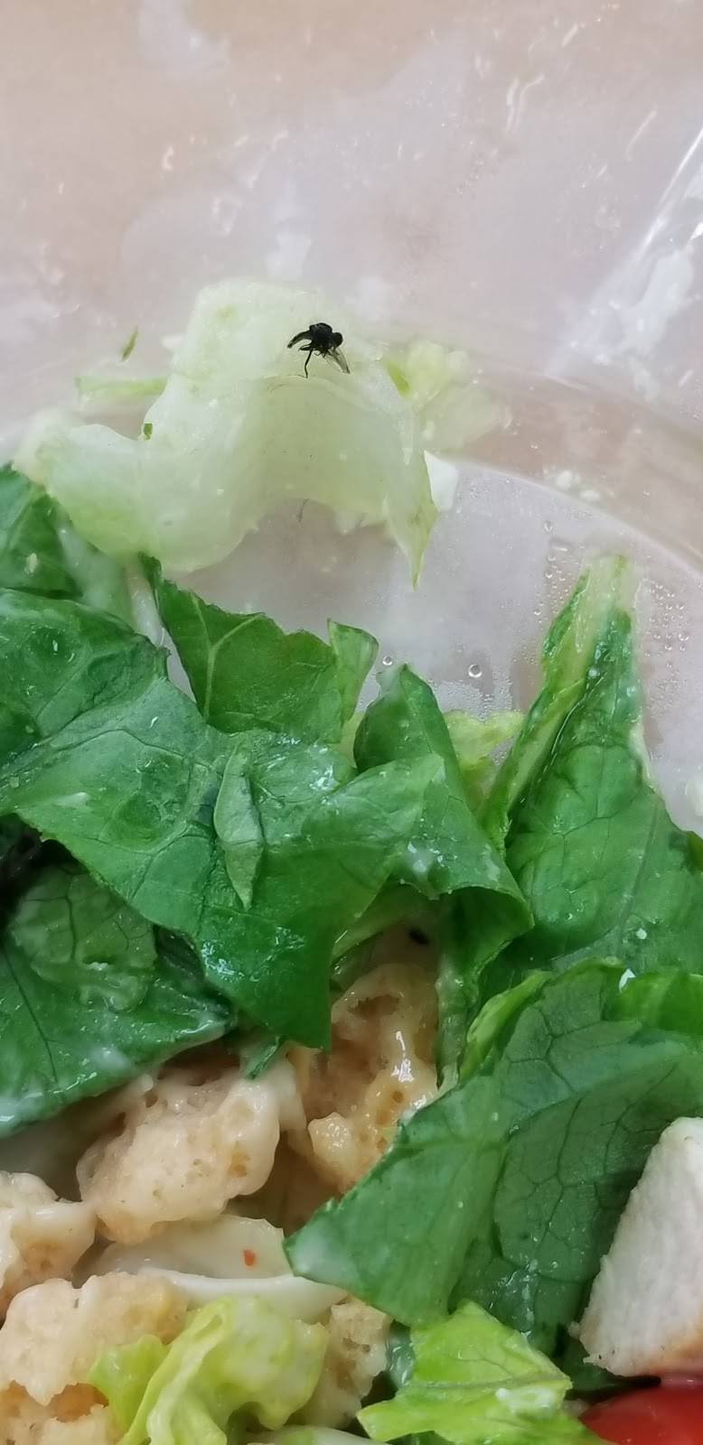 Wendys | restaurant | 1315 Memorial Blvd, Murfreesboro, TN 37129, USA | 6158902383 OR +1 615-890-2383