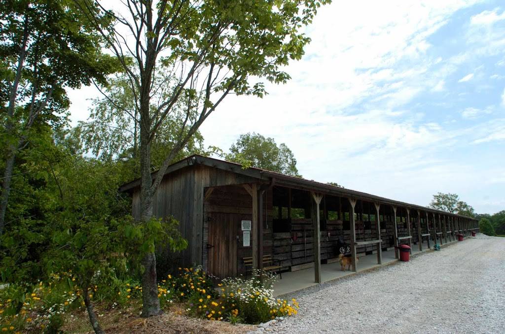 Wildwood Inn | bakery | 3636 Pickett Park Hwy, Jamestown, TN 38556, USA | 9318799454 OR +1 931-879-9454