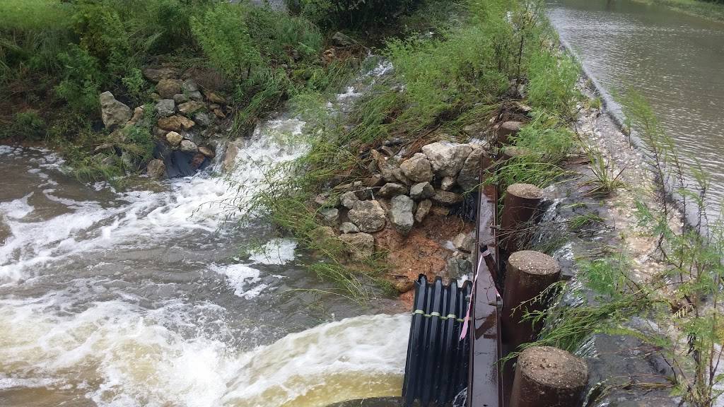 92 Restaurant | restaurant | 23209 FM 92, Silsbee, TX 77656, USA | 4094295065 OR +1 409-429-5065