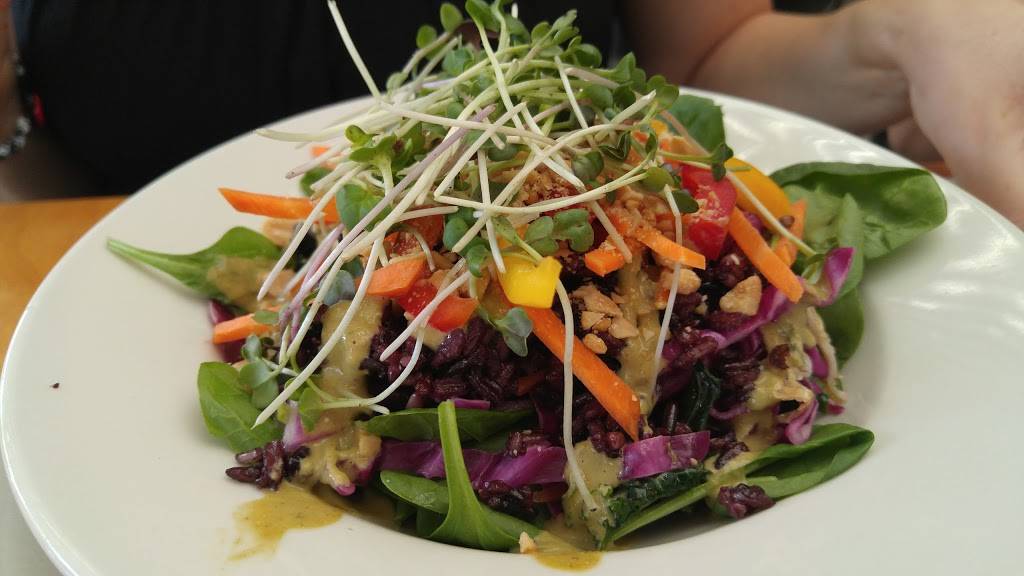 Moosewood Restaurant | restaurant | 215 N Cayuga St, Ithaca, NY 14850, USA | 6072739610 OR +1 607-273-9610