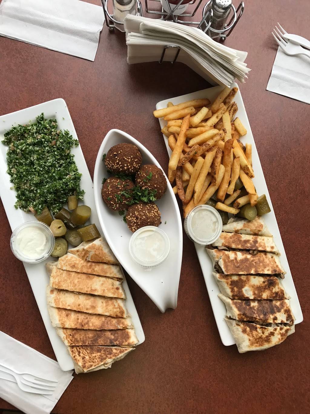 FALAFEL DREAM | restaurant | 3950 N Harlem Ave, Chicago, IL 60634, USA | 7736250000 OR +1 773-625-0000