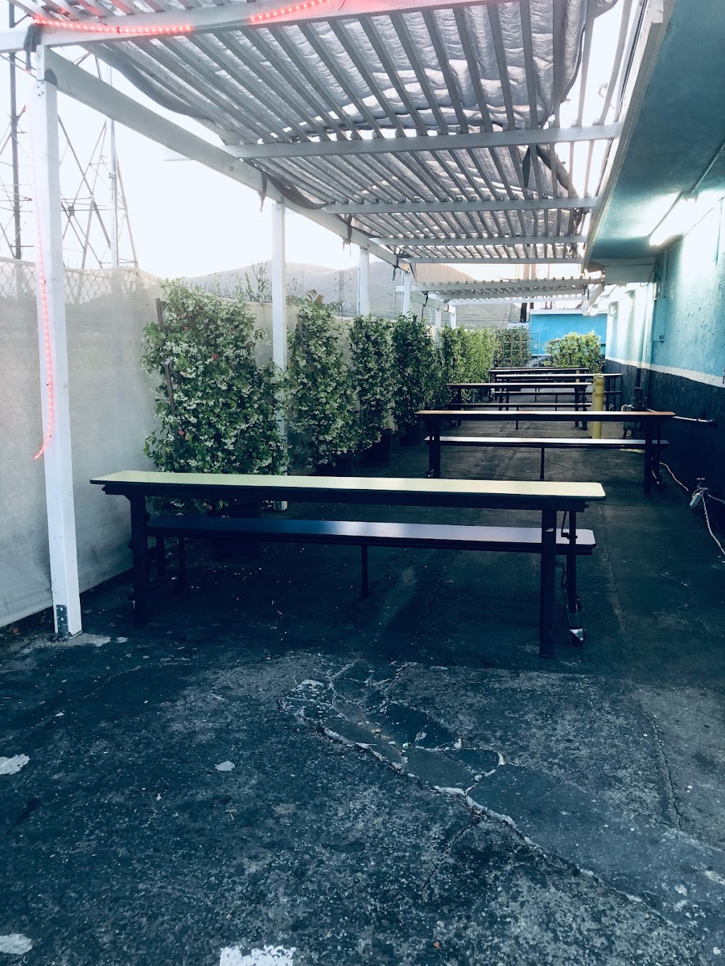 Nice Guys Burgers | restaurant | 11436 Cedar Ave, Bloomington, CA 92316, USA | 9095501464 OR +1 909-550-1464