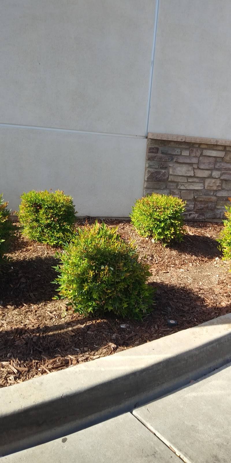 Starbucks | cafe | 2519 Coffee Rd, Modesto, CA 95355, USA | 2095780231 OR +1 209-578-0231