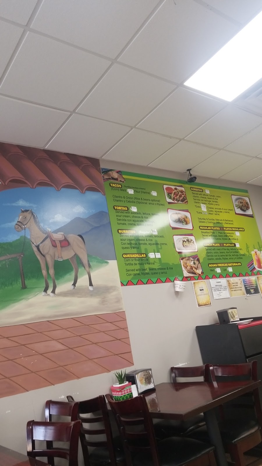 Shell | restaurant | 425 Pasadena Blvd, Pasadena, TX 77506, USA | 2818883771 OR +1 281-888-3771