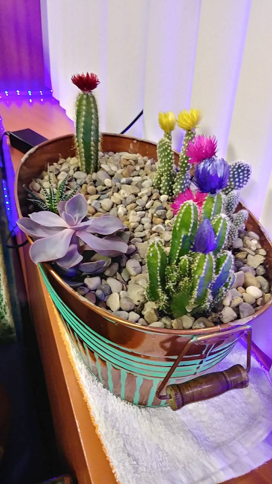 El Patron Mexican Kitchen | restaurant | 605 S Broadway St, Coal City, IL 60416, USA | 8157095130 OR +1 815-709-5130