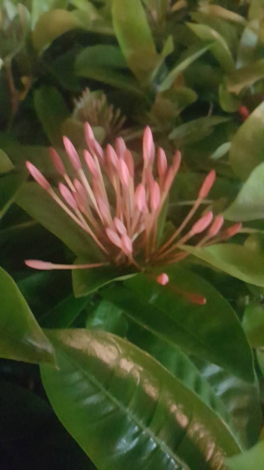 Falafel Time | restaurant | 1306 E Las Olas Blvd, Fort Lauderdale, FL 33301, USA | 2392280198 OR +1 239-228-0198