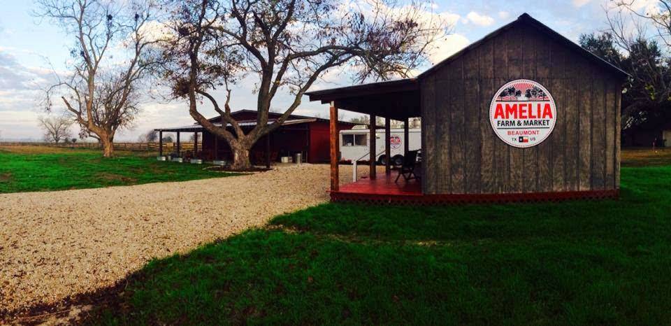 Amelia Farm and Market | restaurant | 8600 Dishman Rd, Beaumont, TX 77713, USA | 4098667818 OR +1 409-866-7818