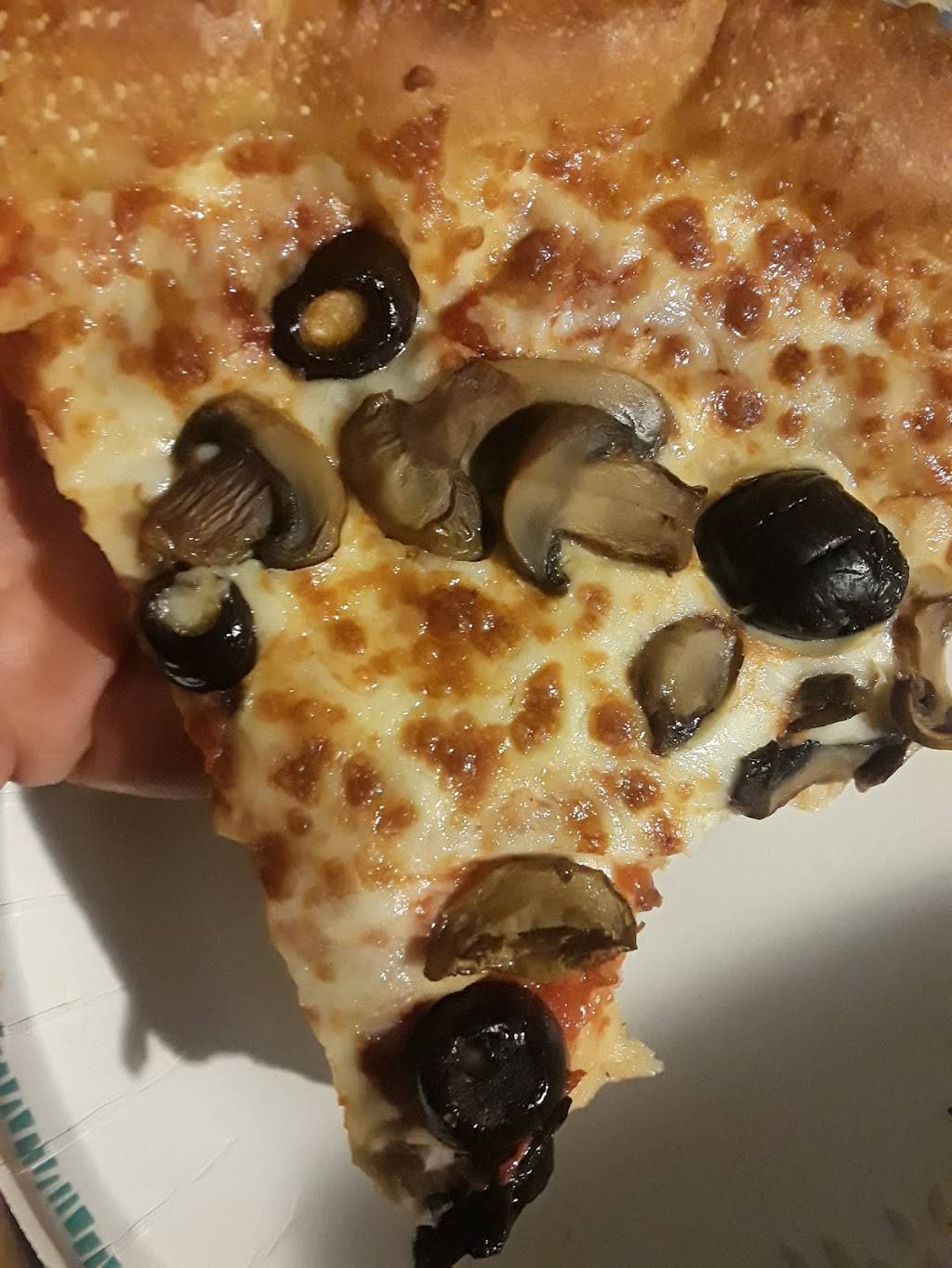 Little Caesars Pizza | meal takeaway | 31541 Harper Ave, St Clair Shores, MI 48082, USA | 5862946300 OR +1 586-294-6300