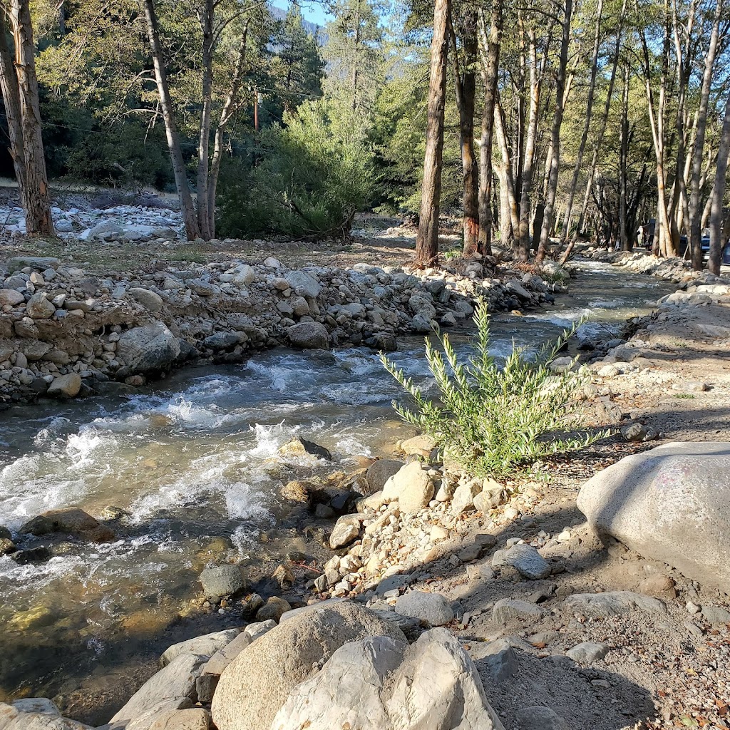 Seven Oaks Lodge | restaurant | 39950 Seven Oaks Rd, Angelus Oaks, CA 92305, USA | 9097942917 OR +1 909-794-2917