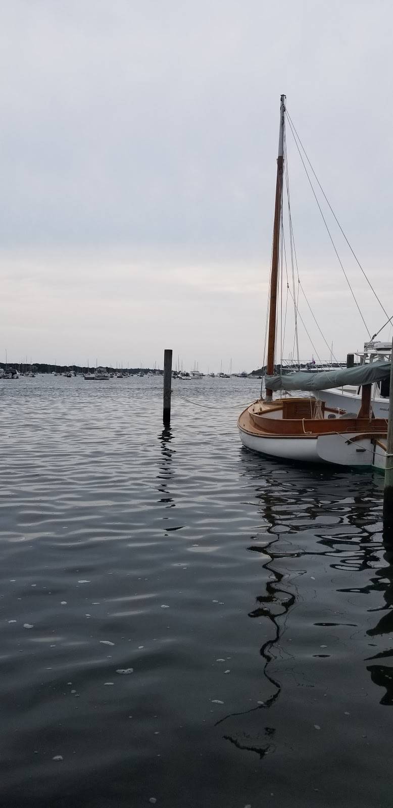 A Slice of Edgartown | restaurant | 22 Dock St, Edgartown, MA 02539, USA | 5086277641 OR +1 508-627-7641