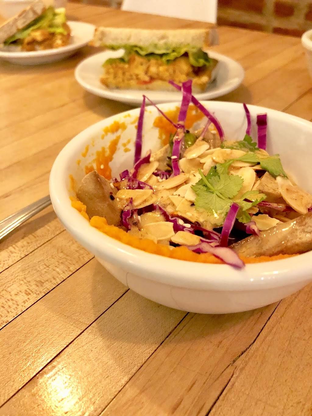 Whole Harvest | restaurant | 5 Caroline St, Saratoga Springs, NY 12866, USA | 5185845100 OR +1 518-584-5100