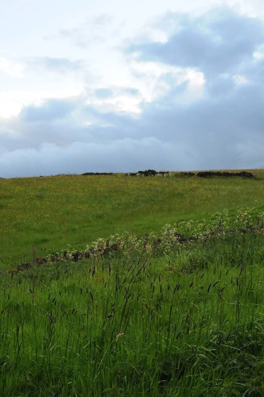 lbAutomotronic | restaurant | 14343 Addison St APT 301, Sherman Oaks, CA 91423, USA | 8183319811 OR +1 818-331-9811