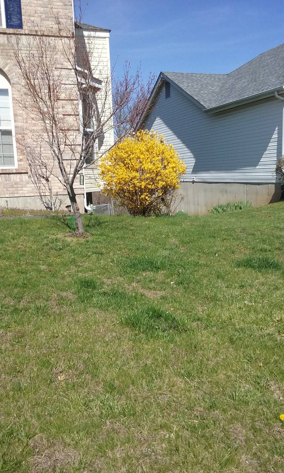 Dairy Queen Grill & Chill | restaurant | 11 Jacqueline Ln, High Ridge, MO 63049, USA | 6363768740 OR +1 636-376-8740