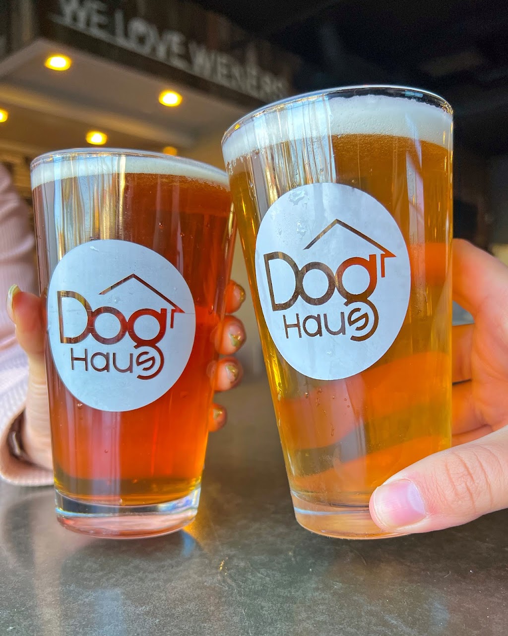 Dog Haus | restaurant | 638 N Azusa Ave, Azusa, CA 91702, USA | 6266339090 OR +1 626-633-9090