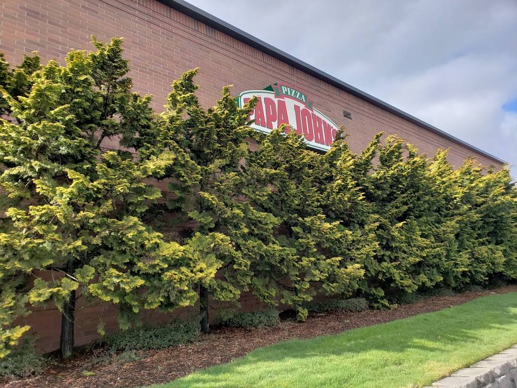 Papa Johns Pizza | restaurant | 13521 Se 3rd Way #300 Ste 300, Vancouver, WA 98684, USA | 3602539090 OR +1 360-253-9090