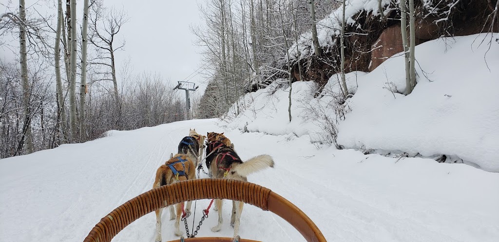 Krabloonik | restaurant | 4250 Divide Rd, Snowmass Village, CO 81615, USA | 9709233953 OR +1 970-923-3953