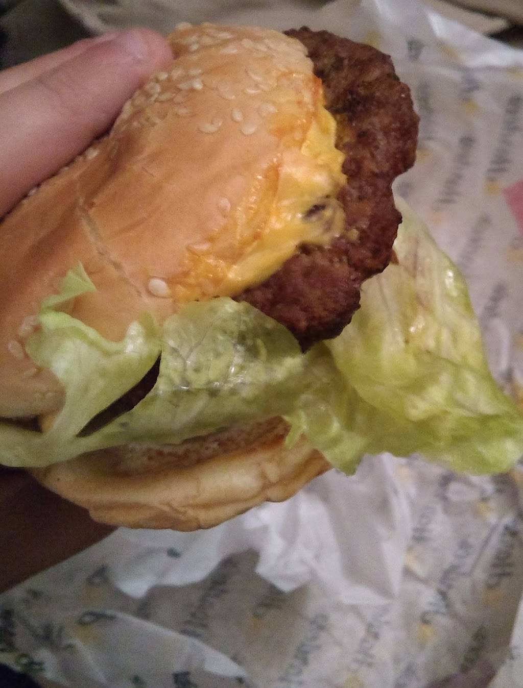 Hardees | restaurant | 873 Lane Ave S, Jacksonville, FL 32205, USA | 9046959522 OR +1 904-695-9522