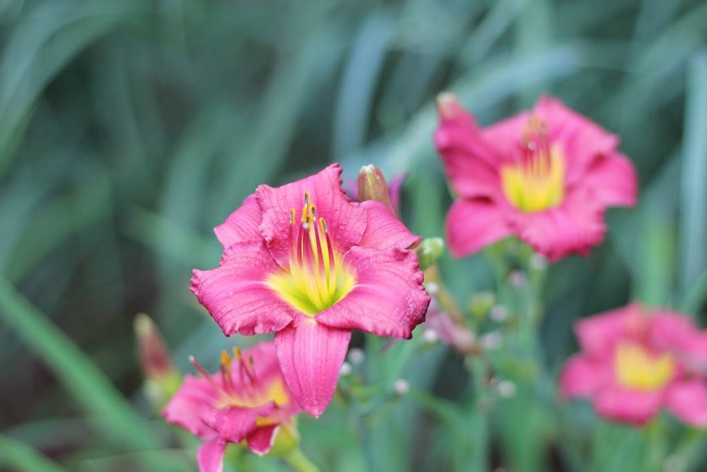 The Perch | restaurant | 150 Front St, Franklin, TN 37064, USA | 6154656999 OR +1 615-465-6999