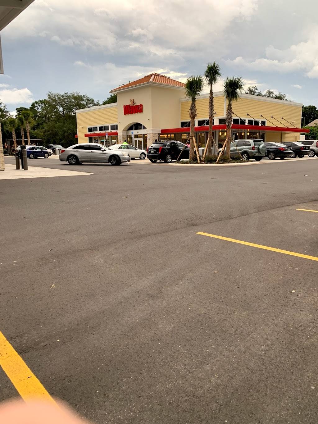 Wawa | restaurant | 5011 E Busch Blvd, Tampa, FL 33617, USA | 8135245378 OR +1 813-524-5378