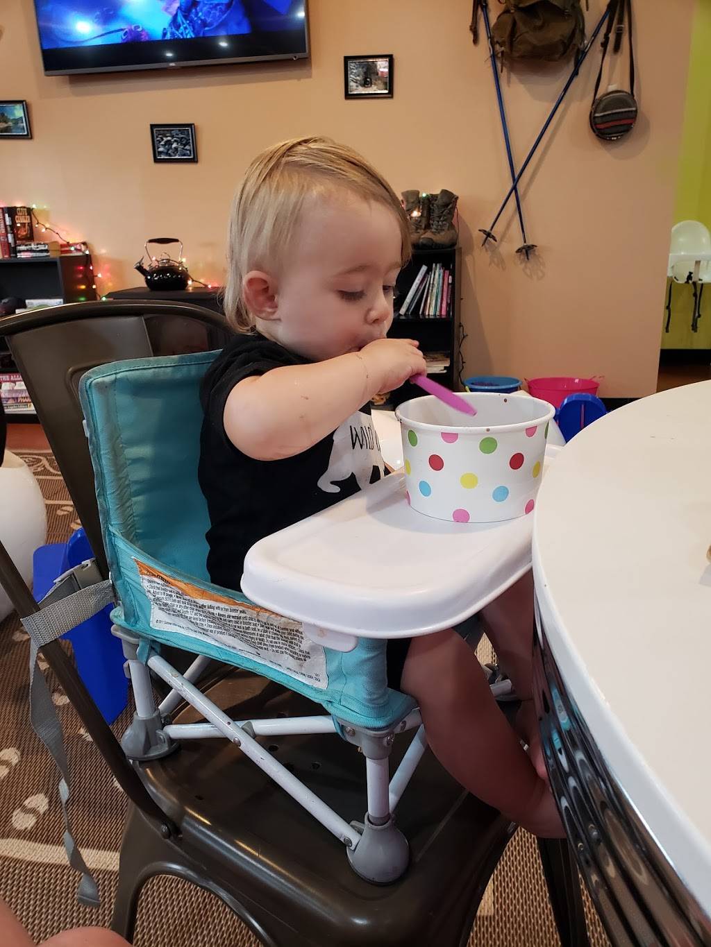 Mountain View Yogurt Plus | restaurant | U.S. 24, 222 W Midland Ave, Woodland Park, CO 80863, USA | 7196866676 OR +1 719-686-6676