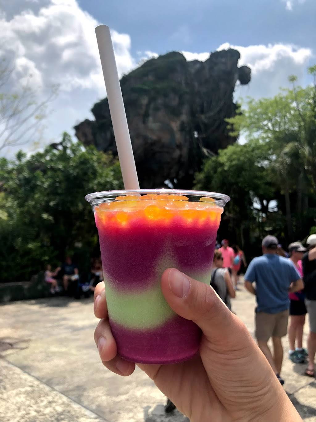 Pongu Pongu | restaurant | 2901 Osceola Pkwy Suite F, Orlando, FL 32830, USA | 4079395277 OR +1 407-939-5277