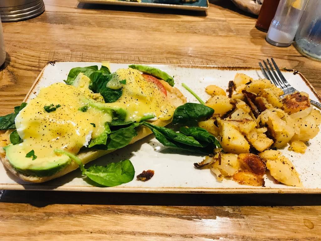 First Watch | restaurant | 25 W Mitchell Hammock Rd #1121, Oviedo, FL 32765, USA | 4079016070 OR +1 407-901-6070