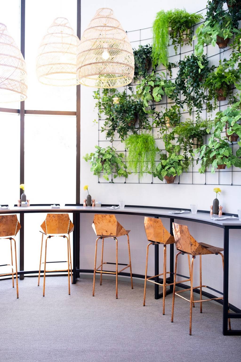 Flossies | restaurant | 221 Las Colinas Blvd E, Irving, TX 75039, USA | 9728695550 OR +1 972-869-5550