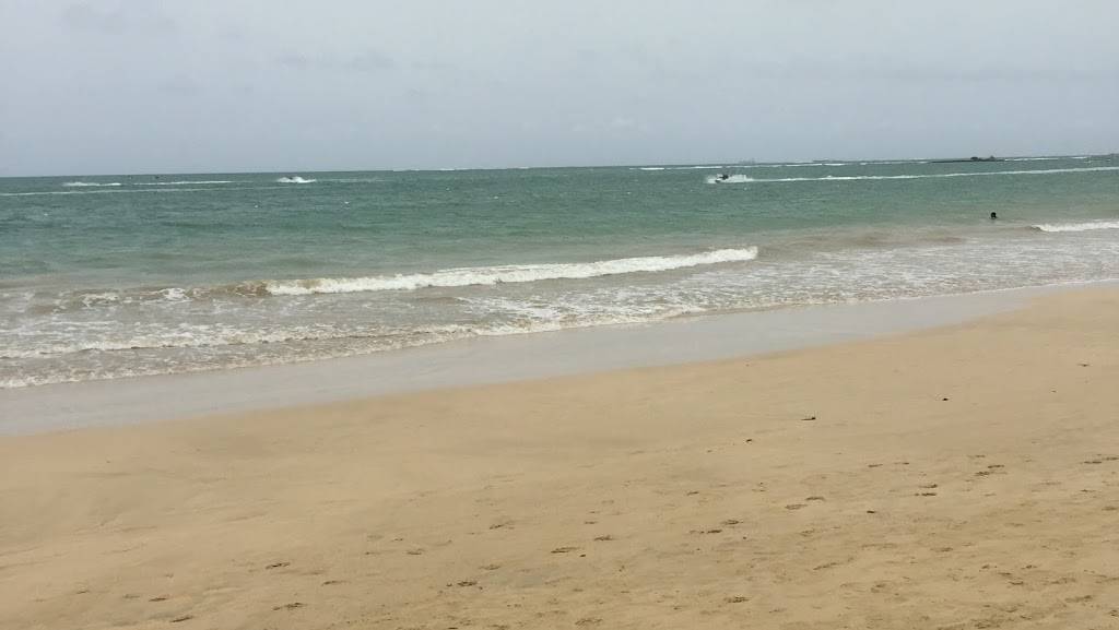 El Marinero | restaurant | 1319 University Blvd E, Takoma Park, MD 20912, USA | 3014454054 OR +1 301-445-4054