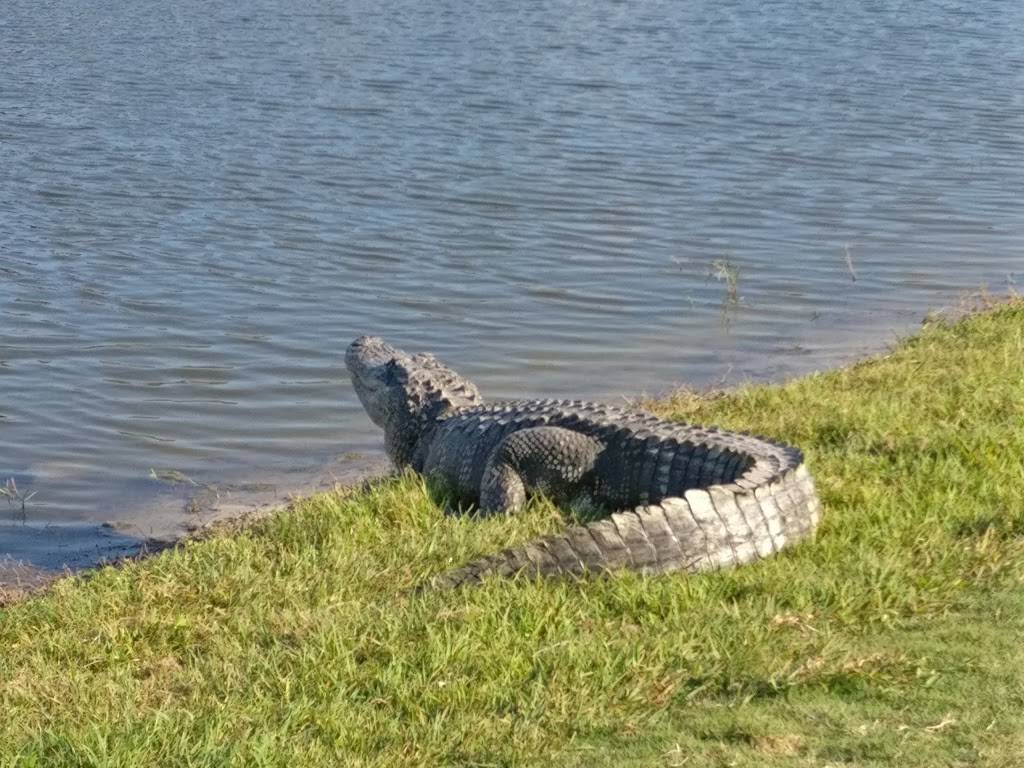 The Savannahs Golf Course | restaurant | 3915 Savannahs Trail, Merritt Island, FL 32953, USA | 3214551375 OR +1 321-455-1375