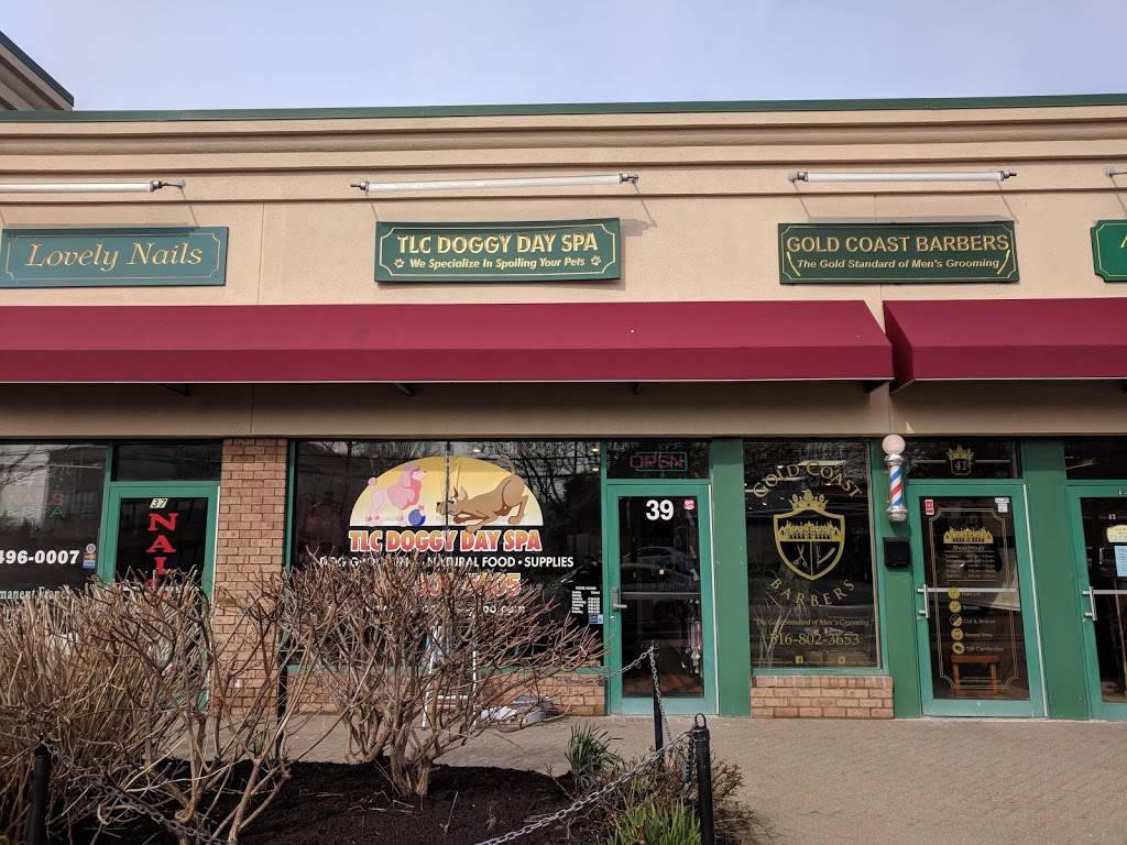 Acqua e Farina Pizzeria | restaurant | 43 Berry Hill Rd, Syosset, NY 11791, USA | 5168022272 OR +1 516-802-2272