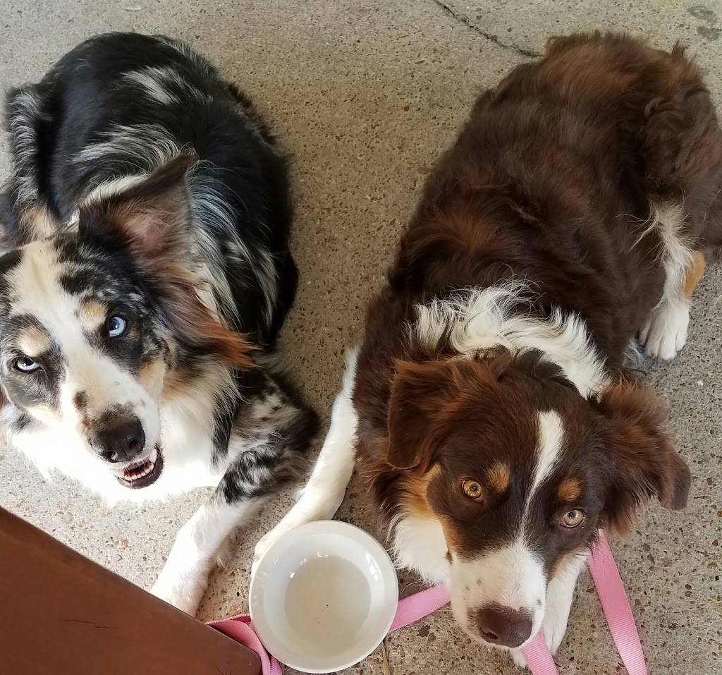 Cajun Critters | restaurant | 6240 W Main St, Houma, LA 70360, USA | 9858761834 OR +1 985-876-1834