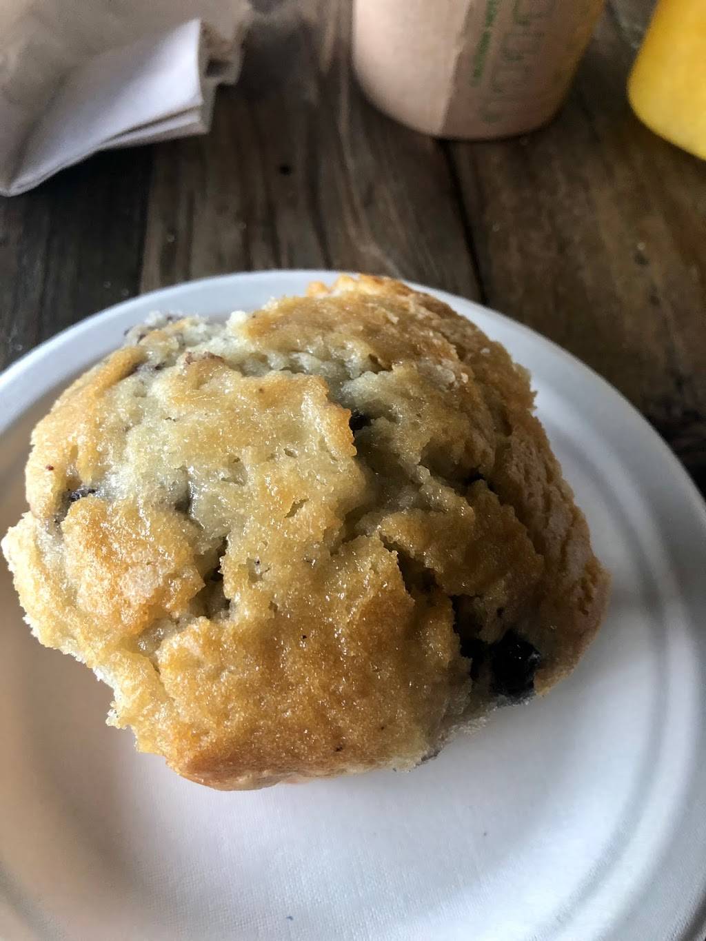 Daily Brew Coffee House | cafe | 1370 MA-28A, Cataumet, MA 02534, USA | 5085644755 OR +1 508-564-4755