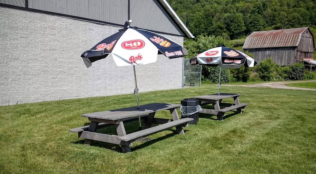 Dandy Mini Mart | meal takeaway | 7320 PA-328, Millerton, PA 16936, USA | 5705373050 OR +1 570-537-3050