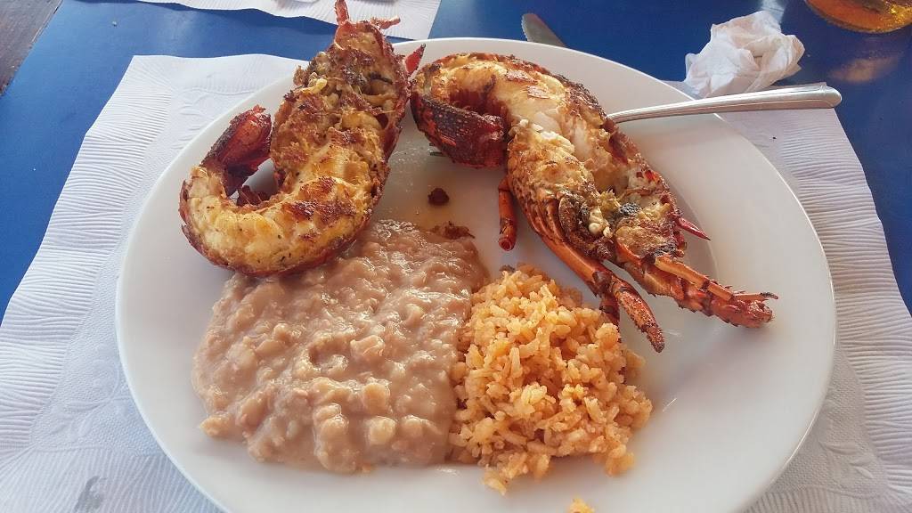 Restaurant-bar Playa Delfin | restaurant | Paseo del mar 13, Rosarito, 22710 Puerto Nuevo, B.C., Mexico | 016616140884 OR +52 661 614 0884