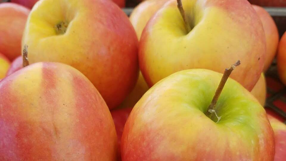 SOUTH BAY GALLERIA CERTIFIED FARMERS MARKET - Premier Market Pla | restaurant | 1815 Hawthorne Blvd, Redondo Beach, CA 90278, USA | 3233532385 OR +1 323-353-2385