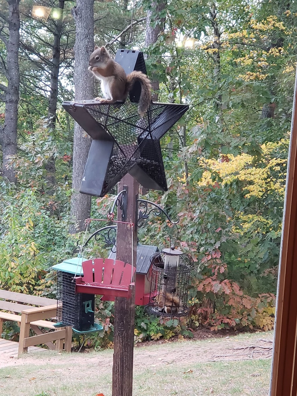 Buckhorn Resort | restaurant | N3919 Buck Horn Dr, Munising, MI 49862, USA | 9063873559 OR +1 906-387-3559