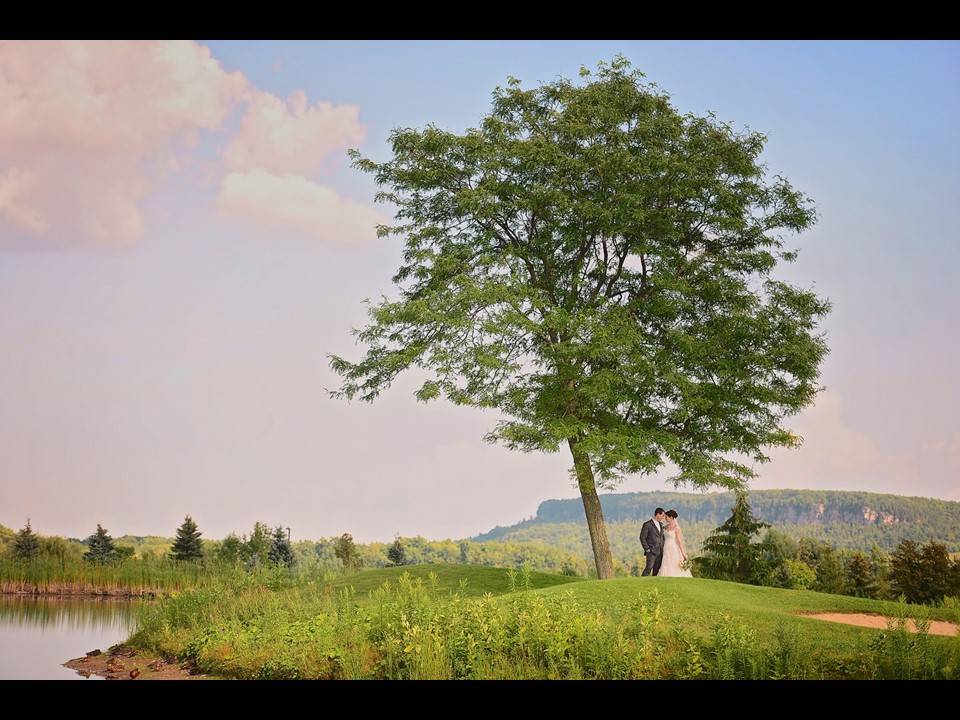 Crosswinds Golf and Country Club | restaurant | 6621 Guelph Line, Burlington, ON L7P 0A6, Canada | 9053195991 OR +1 905-319-5991