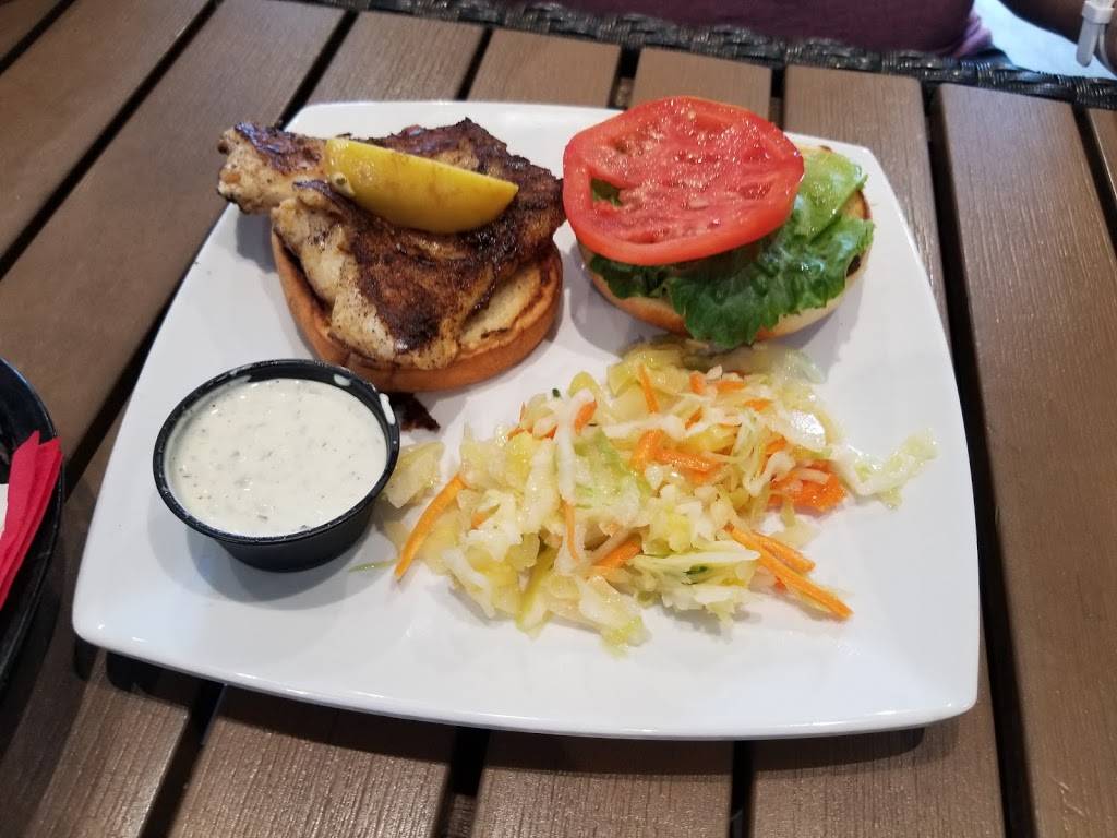 Saltys Island Bar & Grille | restaurant | 437 S Gulfview Blvd, Clearwater Beach, FL 33767, USA | 7272168085 OR +1 727-216-8085