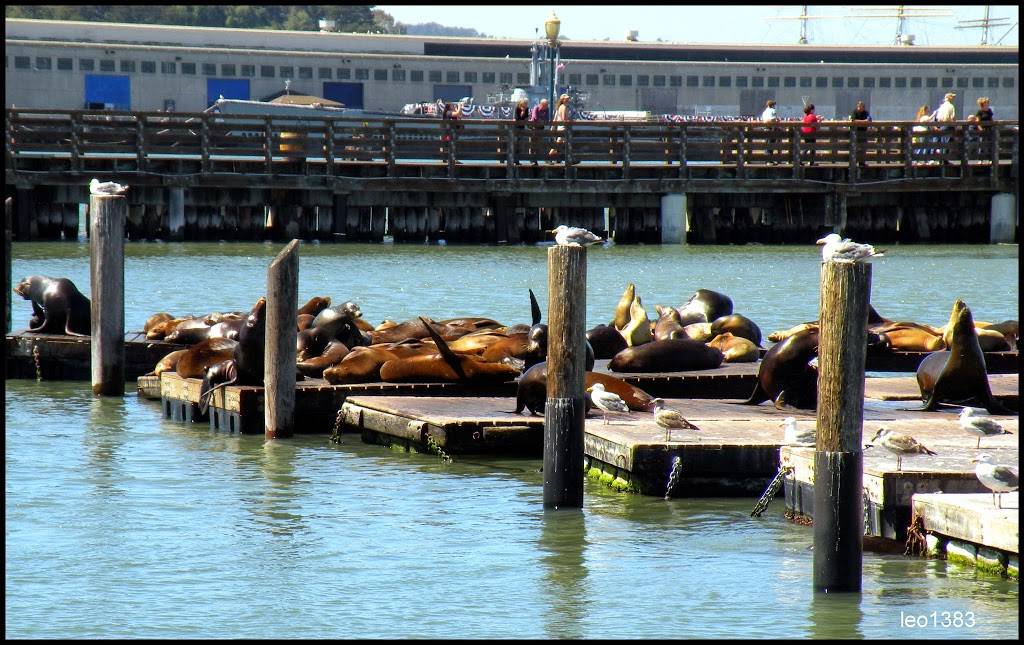 Crabcakes & Sweets | restaurant | Beach St, San Francisco, CA 94133, USA | 4152633526 OR +1 415-263-3526