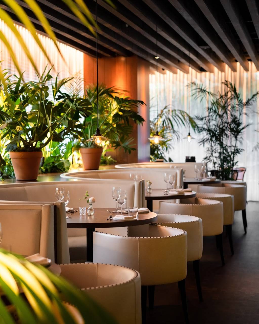 Ardor | restaurant | 9040 Sunset Blvd, West Hollywood, CA 90069, USA | 4243101572 OR +1 424-310-1572