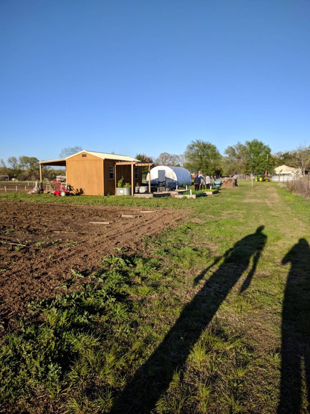 Living Kitchen Farm and Dairy | restaurant | 25198 S 481st W Ave, Depew, OK 74028, USA | 9182848169 OR +1 918-284-8169