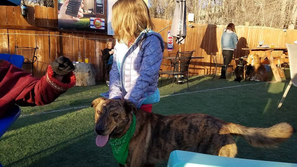 The Watering Bowl | restaurant | 5411 Leetsdale Dr, Denver, CO 80246, USA | 3035919069 OR +1 303-591-9069