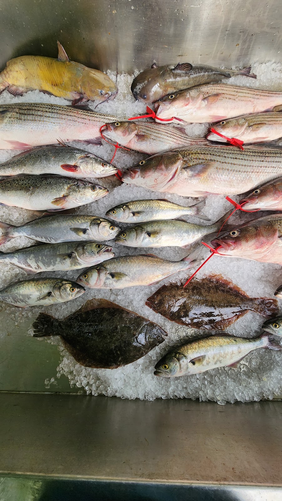 Howes Seafood Eddie’s Place | restaurant | 5705 Blaine Rd, Churchton, MD 20751, USA | 4108674283 OR +1 410-867-4283